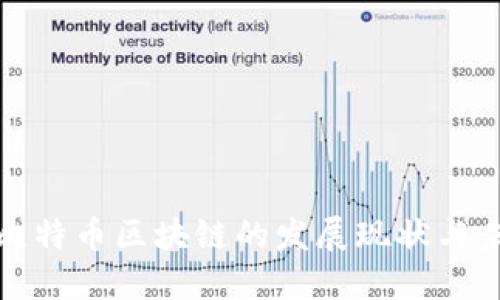 : 美国比特币区块链的发展现状与未来展望