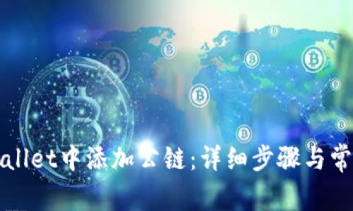 如何在TPWallet中添加公链：详细步骤与常见问题解答