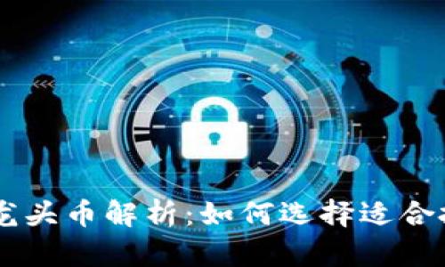 区块链各板块龙头币解析：如何选择适合投资的数字货币