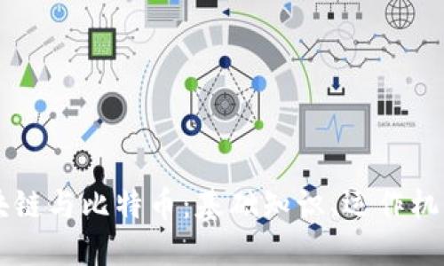 深入了解区块链与比特币：基础知识、运作机制与未来展望