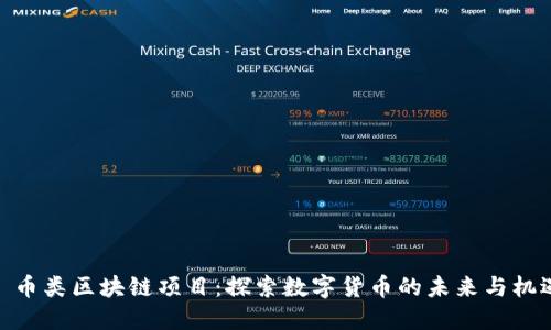 : 币类区块链项目：探索数字货币的未来与机遇
