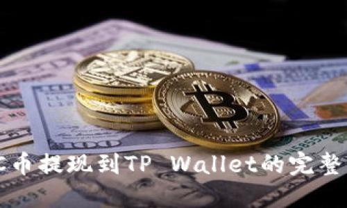: SC币提现到TP Wallet的完整指南