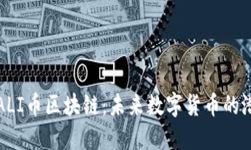 深入了解ALI币区块链：未来数字货币的潜力与挑战